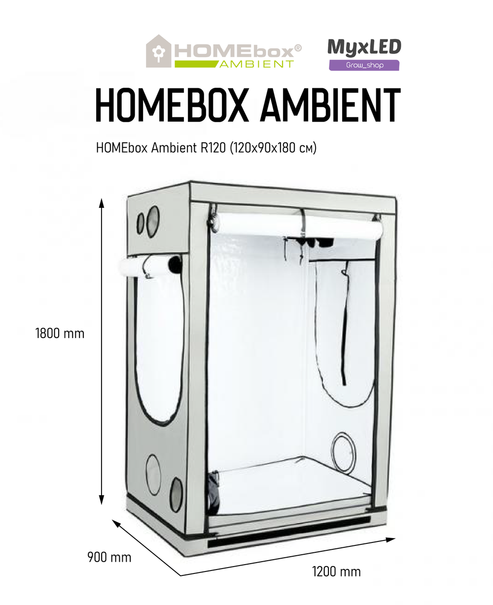 HomeBox Ambient