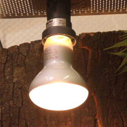 JBL ReptilSpot HaloDym 28 Вт - галогеновая неодимовая лампы для освещения и обогрева террариума