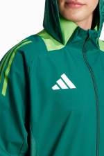 Куртка adidas Tiro 24 Competiton Allweather - зеленый