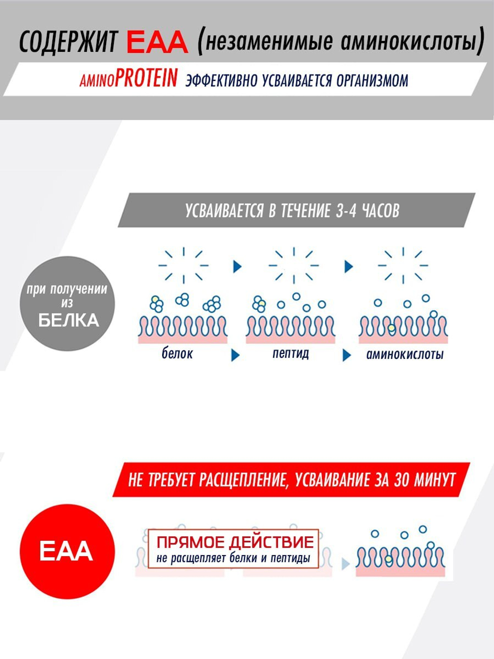 AminoVITAL AminoPROTEIN, AJINOMOTO (60стиков)