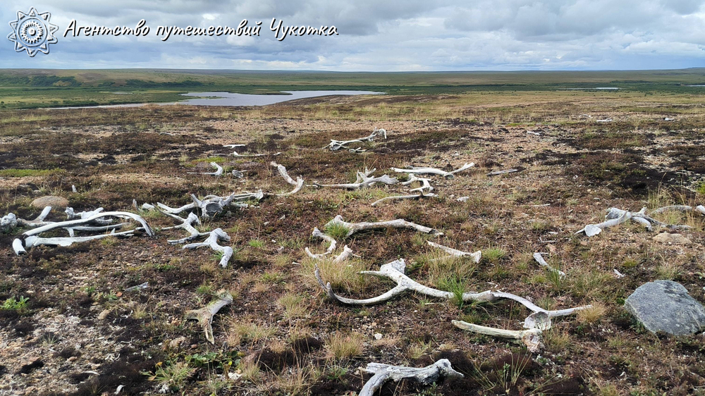 Путешествие на реку Тавайваам