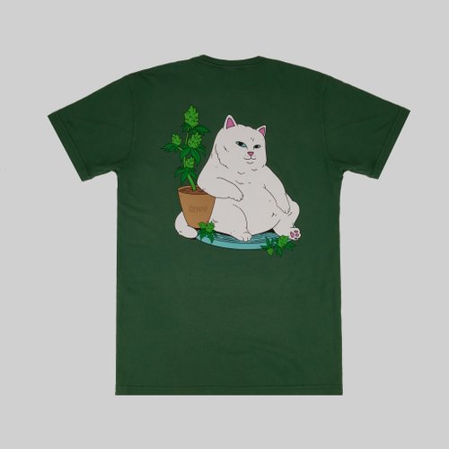 Футболка мужская Ripndip Flower Boy Tee артикул:RND10093 - купить в магазине Дайс