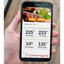 Wi-Fi-термометр и контроллер температуры в гриле EGG Genius, Big Green Egg