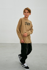 Джемпер д/м DELORAS 22324