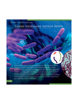 Книга знаний в 2 томах. «Космос. Микромир»