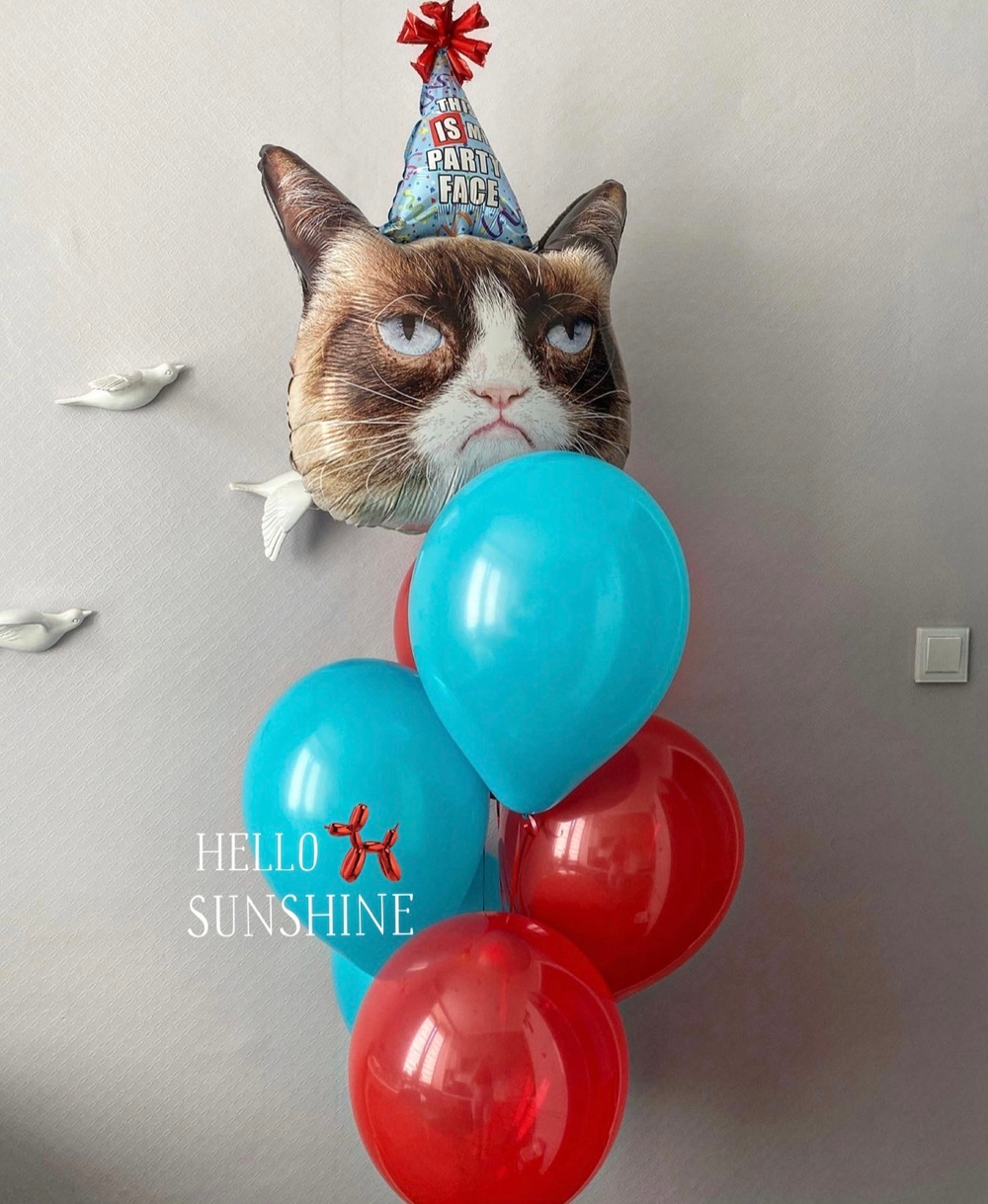 Набор шаров Недовольный кот