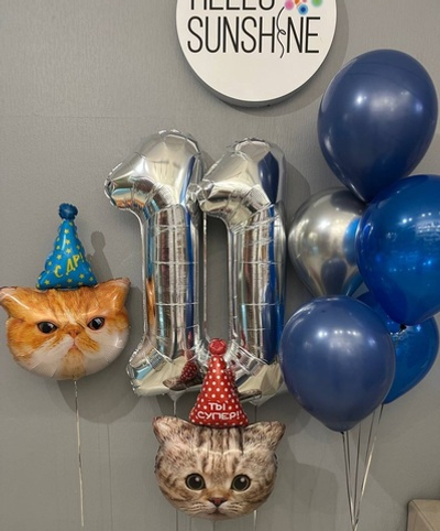 Набор шаров Недовольный Кот 11 лет
