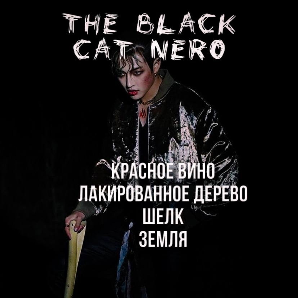 Ateez - "The black cat Nero"