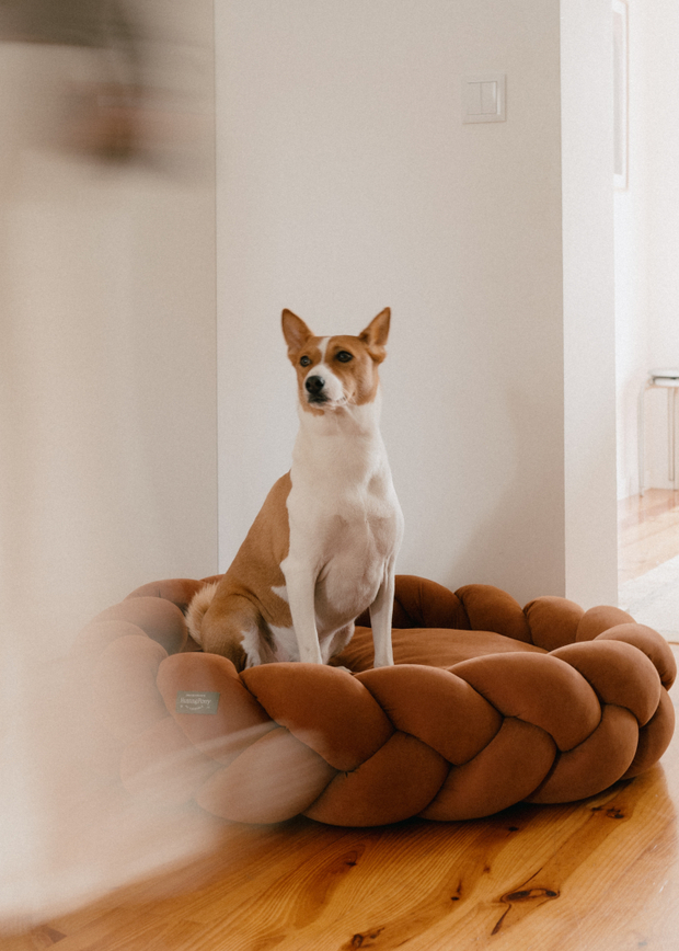 Лежанка "Пони-Колосони" Терракот