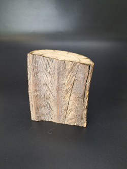 Бивень мамонта для коллекции и поделок