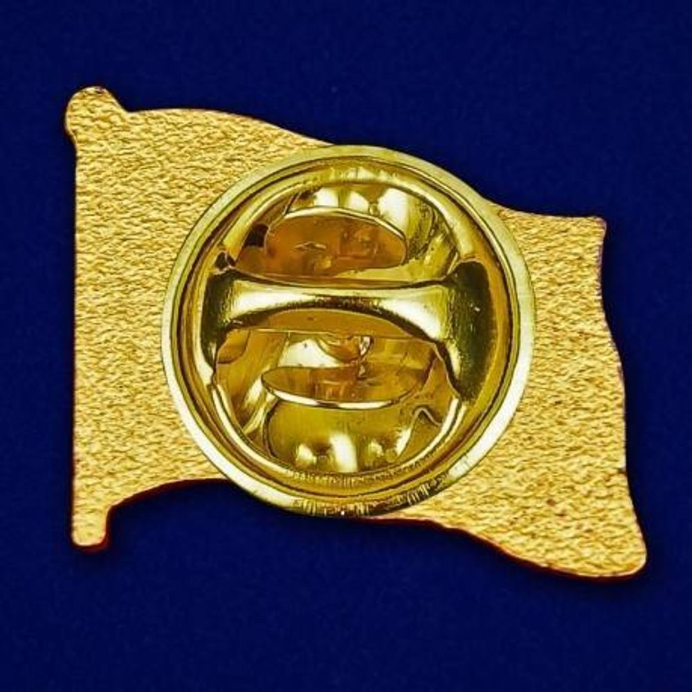 Значок ВКС на пимсе