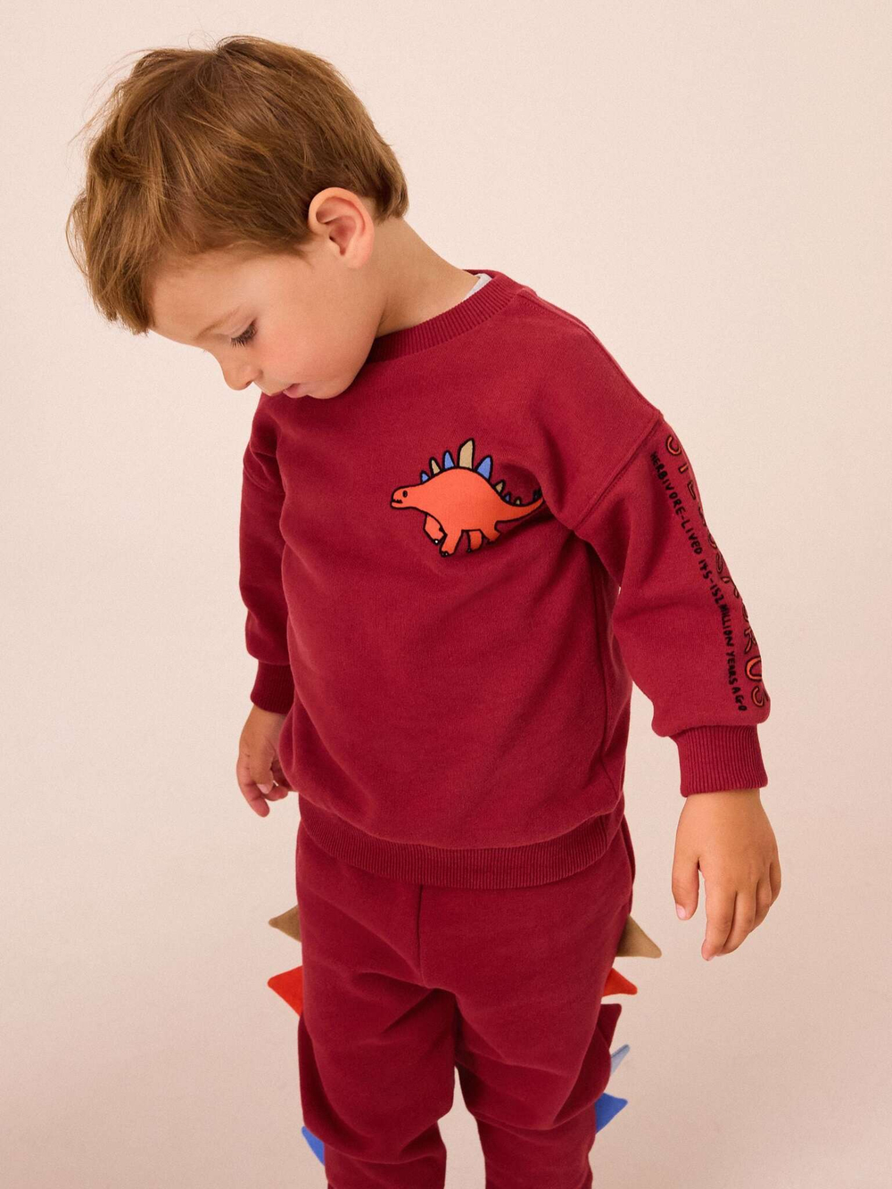 Толстовка и джоггеры в комплекте для мальчика Next B05-220, Красный