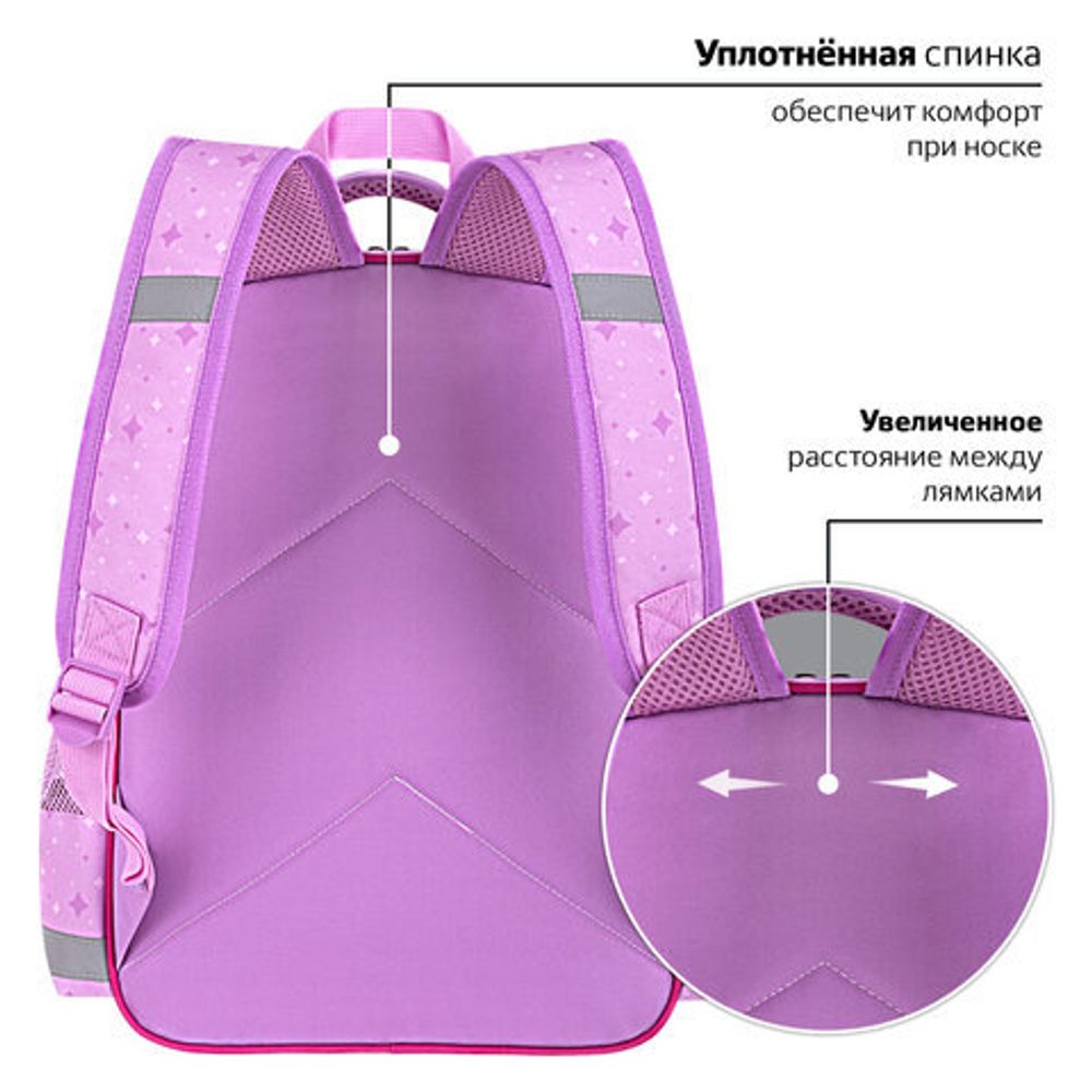 Рюкзак ПИФАГОР SCHOOL, 1 отделение, 3 кармана, "Fluffy akita", 38x28х14 см, 272084