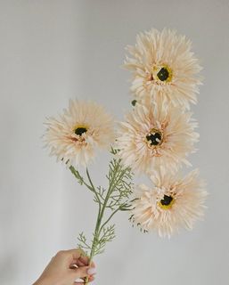 Желтый/оранжевый/персик