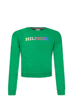 Худые MONOTYPE SWEATSHIRT Tommy Hilfiger - зеленый(KG0KG07887)
