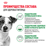 Royal Canin Mini Adult Мини Эдалт Корм сухой для взрослых собак мелких пород от 10 месяцев и старше 8кг
