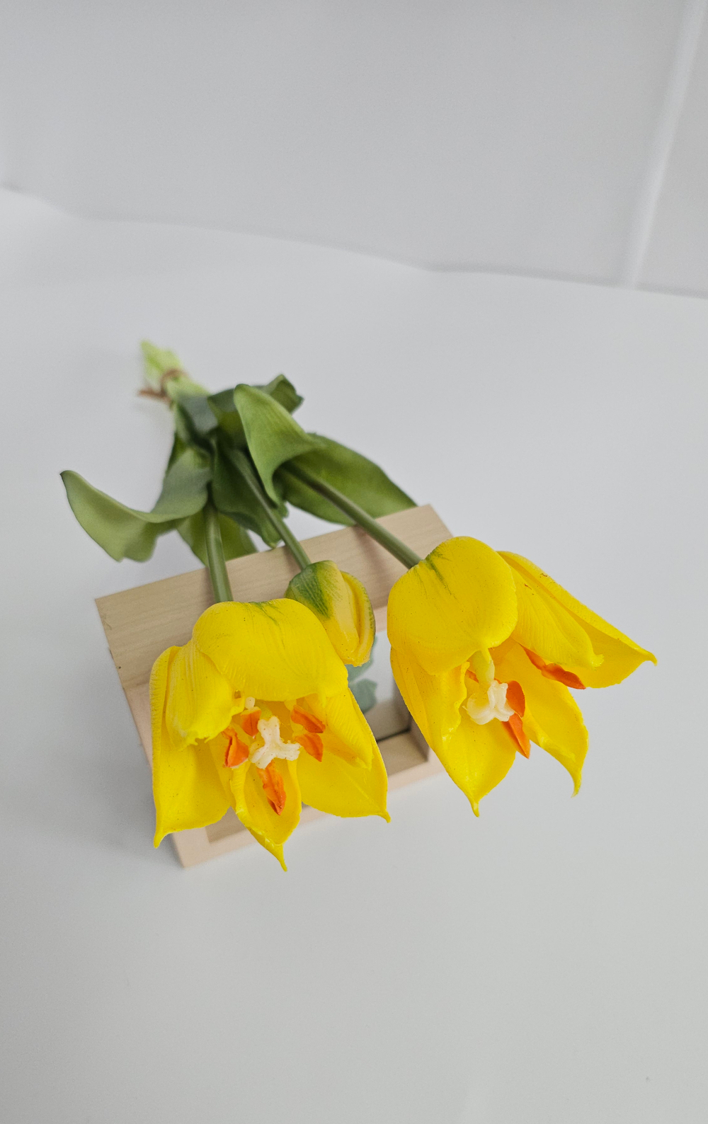 Тюльпаны лилиецветные / Арт 2522