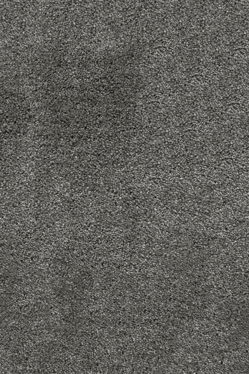 Ковровое покрытие AW Leda 43