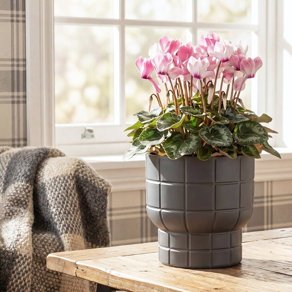 Кашпо КАРЕ D150 мм 1 л со вставкой 15*15*14см М3256