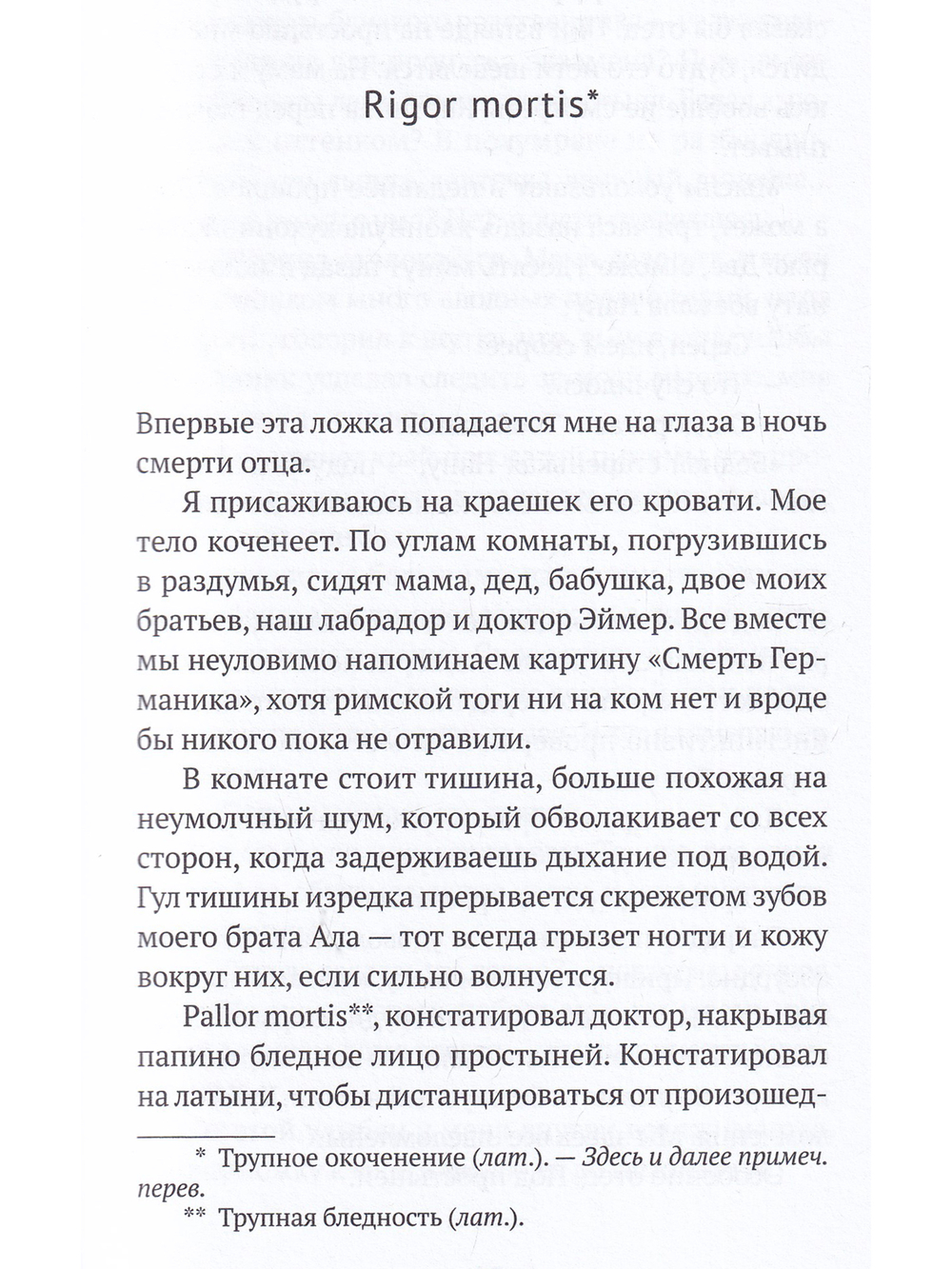 Ложка