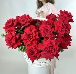 Bouquet of 25 red French Bordeaux roses in a basket