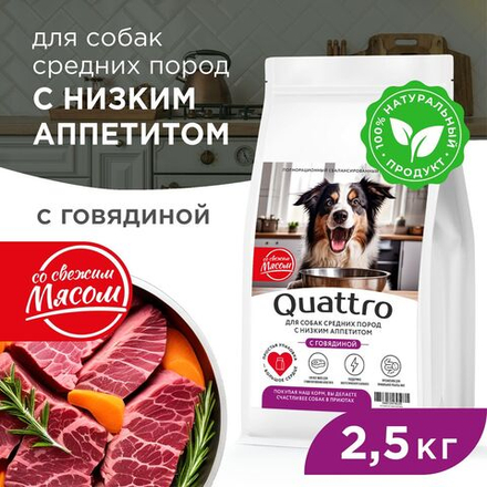 Корм сухой для взрослых собак средних пород, премиум полнорационный комплекс, низкий аппетит, с говядиной, 2,5 кг, QUATTRO