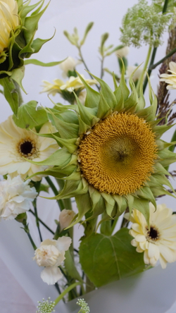 Детали букета в желтой гамме - макро