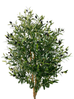 Олива 180 см.