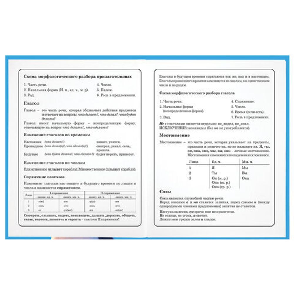 Дневник 1-4 класс 48 л., твердый, ЮНЛАНДИЯ, глянцевая ламинация, с подсказом, "Котик", 107147