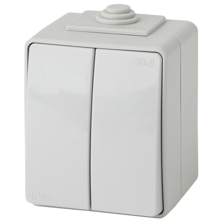 Переключатель ЭРА Эксперт 11-1606-03 двойной IP65 10АХ-250В ОУ серый