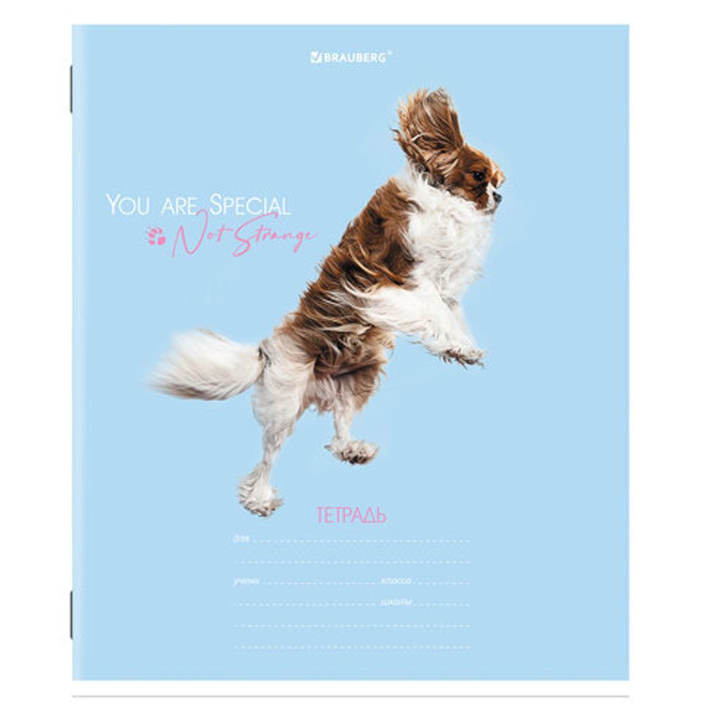 Тетрадь 18 л. BRAUBERG линия, обложка картон, "СОБАЧКИ", 106481, 5шт