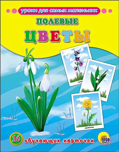 Полевые цветы (Серия: Обучающие карточки), арт.43823