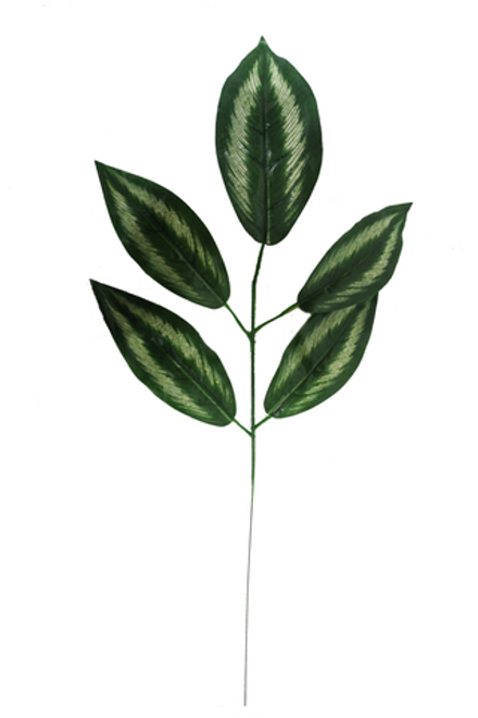 Ветка манго 5 листьев