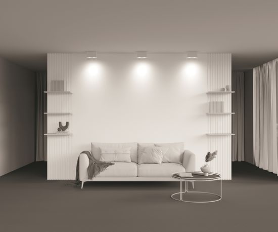 Потолочный светильник Technical C017CL-02W