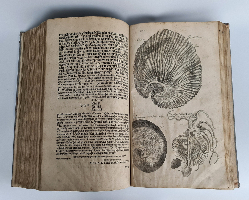 "Museum museorum, oder Vollstandige Schau-Buhne aller Materialien und Specereyen [...] aus andern Material-Kunst und Naturalien Kammern Oost und West-Indischen Reisbeschreibungen". D. Michael Bernhard Valentini. 1714 г.