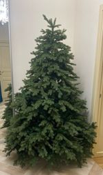 Ель искусственная «Графская» (Литая+пвх) 3 м