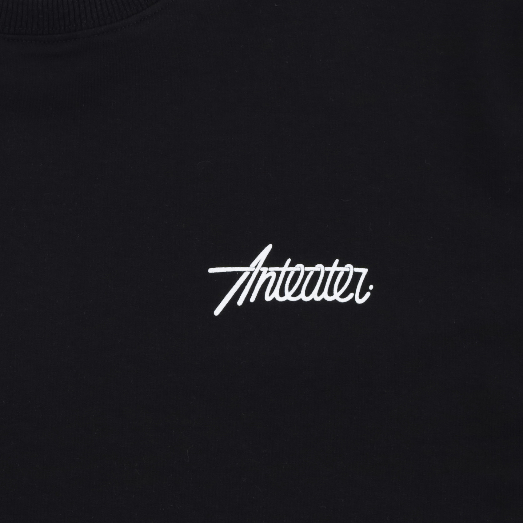 Футболка Anteater Phat Tee 446 (black) артикул: - купить в магазине Дайс