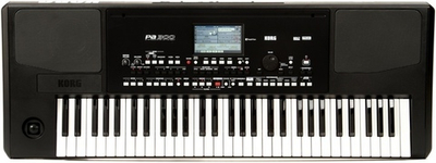 Синтезатор KORG Pa300