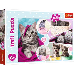 Puzzle "160" - Lovely kittens