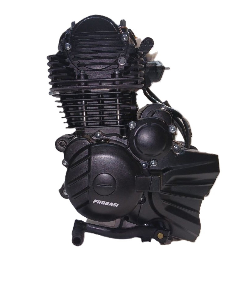 Двигатель ZS 172FMM-3A (CB250-F) Мотоцикл PROGASI Palma 250
