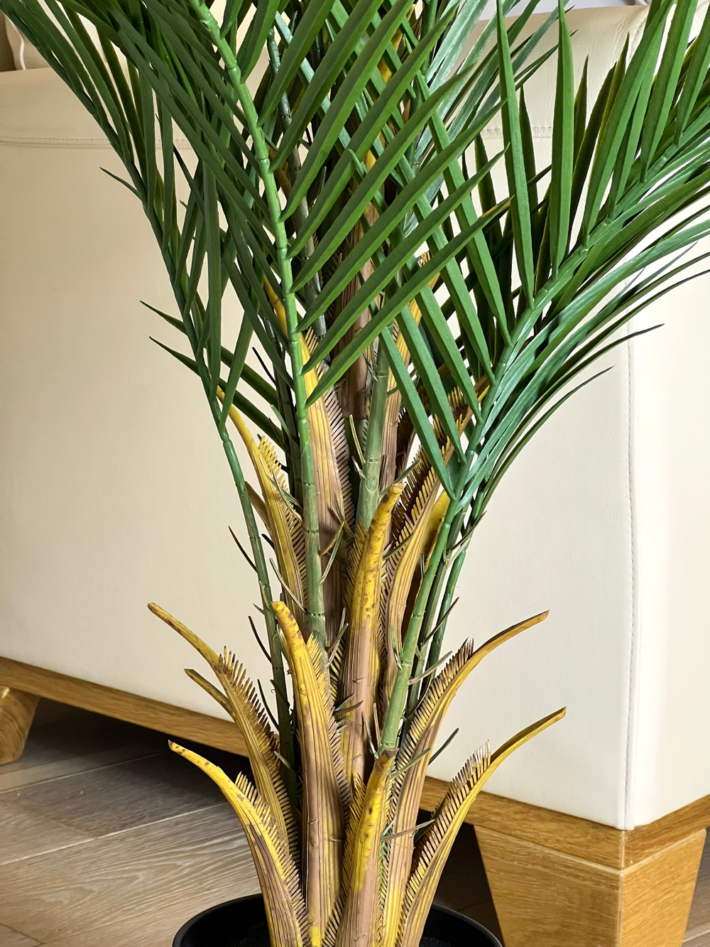 Пальма Дипсис 120 см.