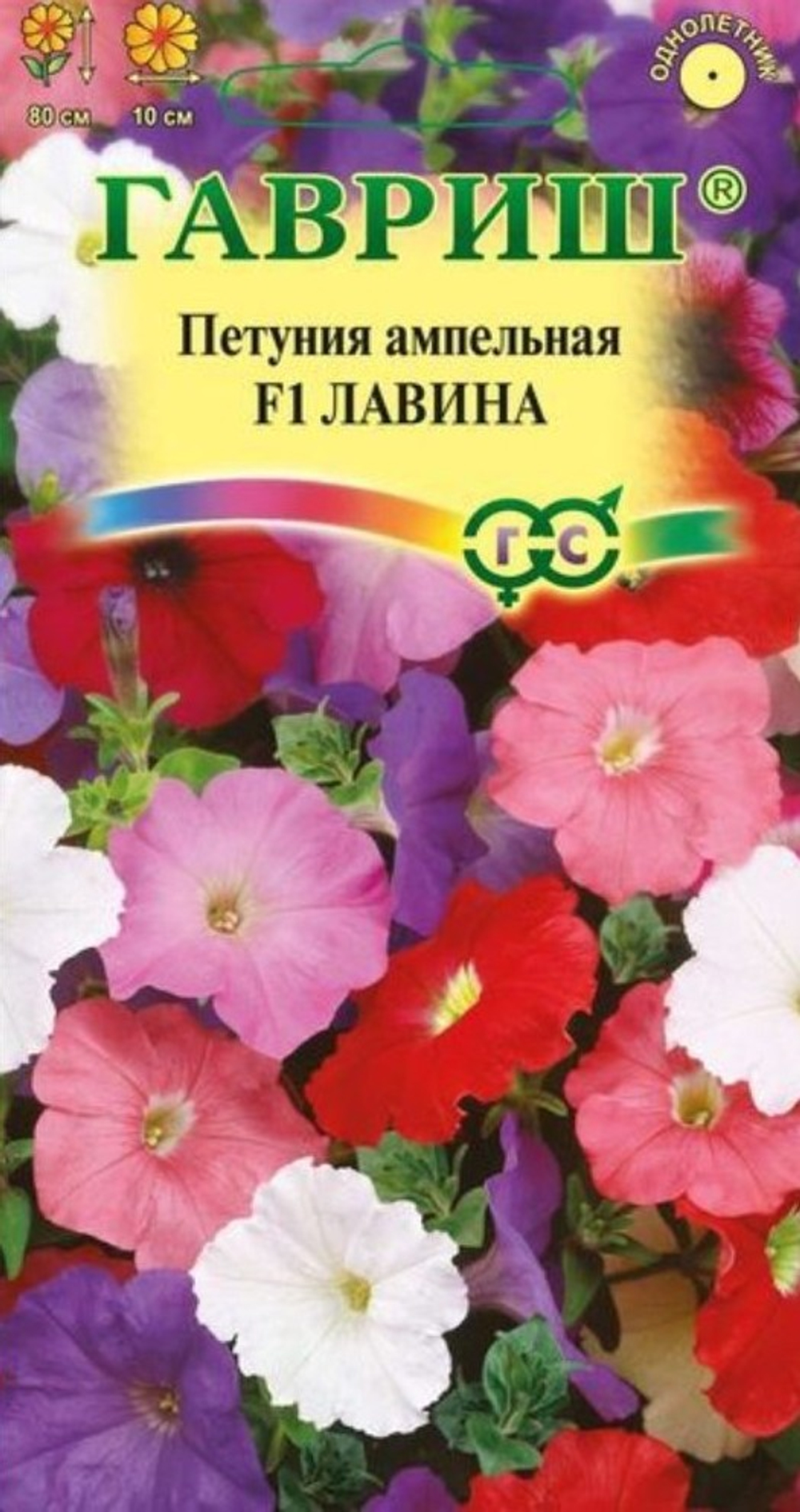 лавин