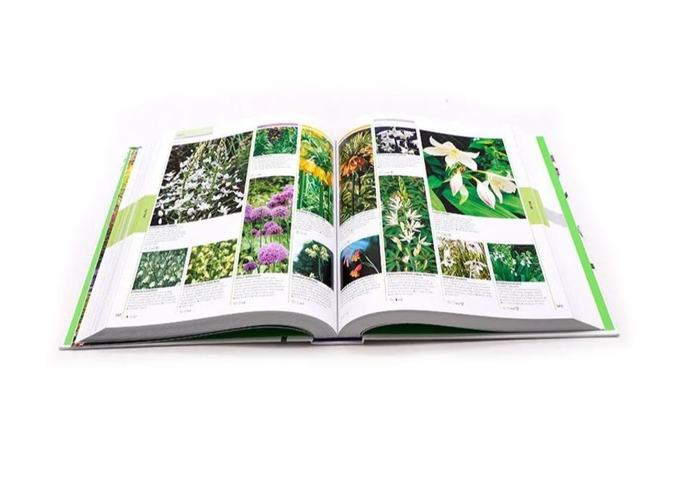 RHS Encyclopedia of plants and flowers