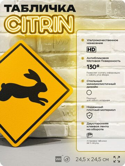 Табличка прикольная "Осторожно, зайцы" на дверь и стену, информационная и предупреждающая, декоративный знак, 24,5х24,5 см, пластиковая, Айдентика Технолоджи