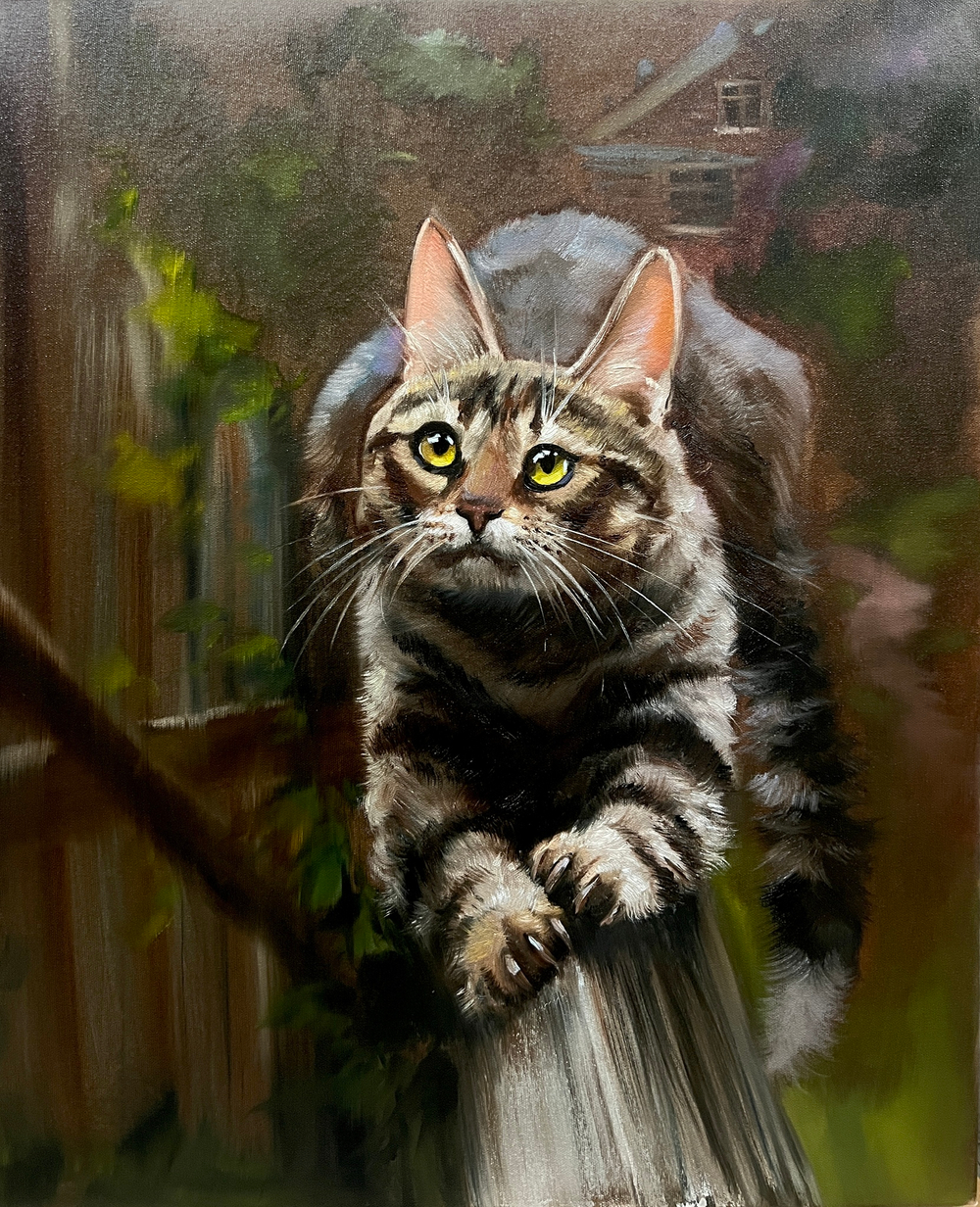 Деревенский кот