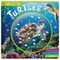 Amazing Turtles: Non-Fiction Board Book