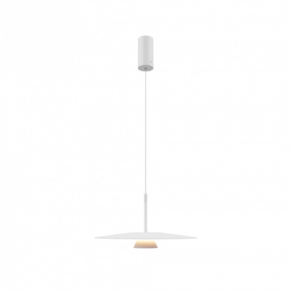 Подвесной светильник Maytoni Platte MOD352PL-L10W3K