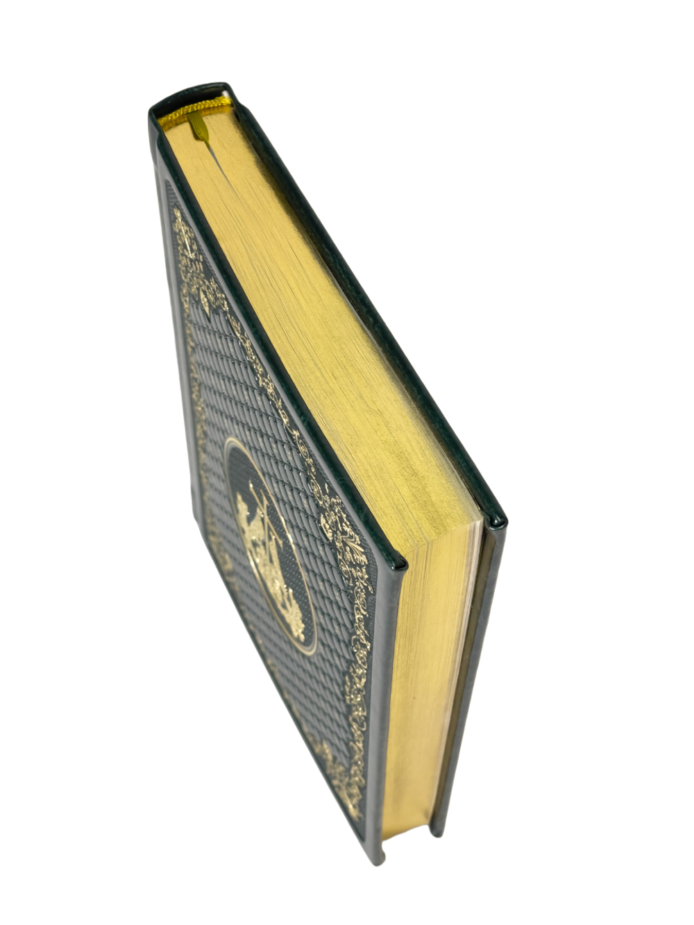 IMG_8847-PhotoRoom.png-PhotoRoom