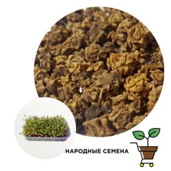 Мангольд жёлтый