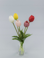 Тюльпан силикон VIP белый